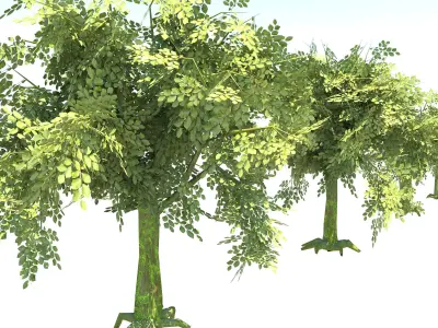 Tree Low Poly -Fantary Low-poly 3D model