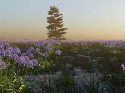 Agapanthus field 3D model
