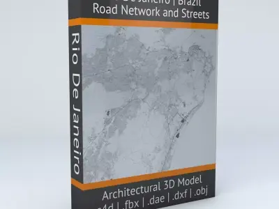 Rio De Janeiro Road Network and Streets 3D model