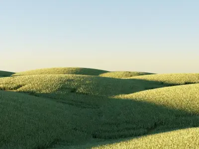 Realistic Nature field with grass Low-poly 3D model