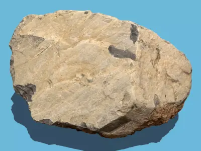 Emma Stone-3D scan 3D model