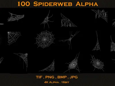 100 Spiderweb Alpha 3D model
