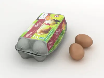 Egg Carton 002 3D model
