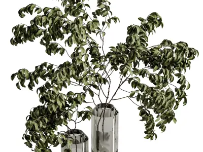 plants bouquet vase 47 3D model