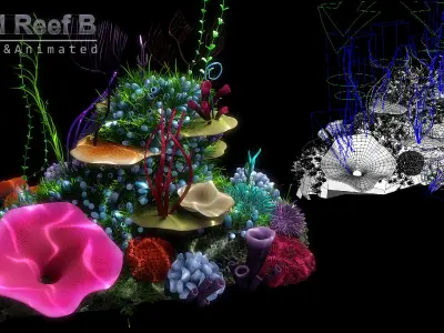  Cartoon Underwater Rigged Animation Maya 