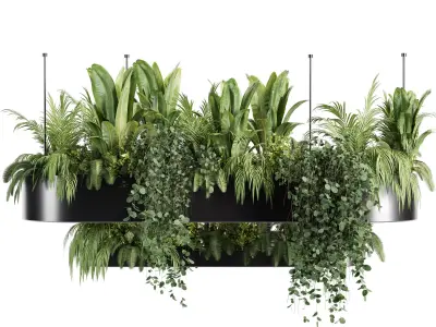 Indoorplants-Hanging plant With light-set33 3D model