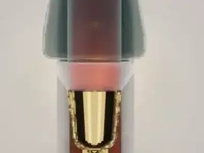 DANISH VINTAGE SCONCE 3D model