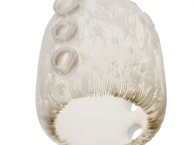 FAINA IDEA SLUHACH PENDANT LAMP 3D model