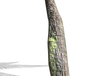 Palm -00007 Low-poly 3D model