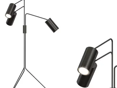 Array cotton 3D model