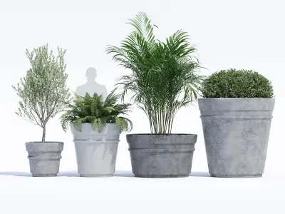 Reale planter 3D model