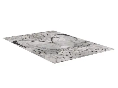 Glasswings rug 3D model