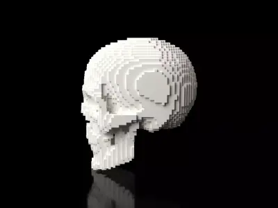 Skull Minecraft Voxel Low-poly 3D model