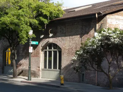 2021 PBR Chinaberry Collection - Melia Azedarach Free 3D model