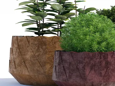 Agave Series 3D model