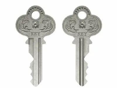 Flat key collection 3D model