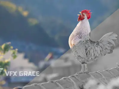 White Chicken Animated VFX Grace 3D model