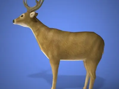 deer 3d model 3D print model
