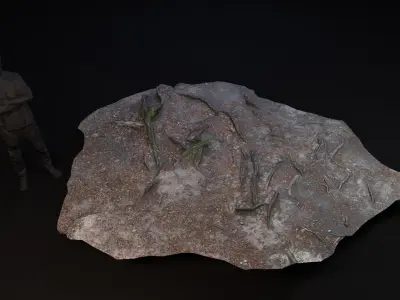 Beech forest ground - 6 of 6 - scan PBR Game ready Low-poly 3D model