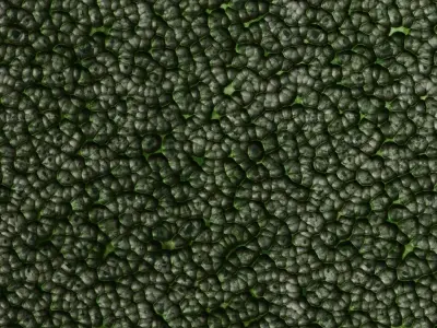 Mossy Metal Hammered PBR Seamless Texture