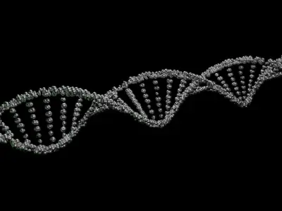 DNA low-poligonal Free 3D model Free low-poly 3D model