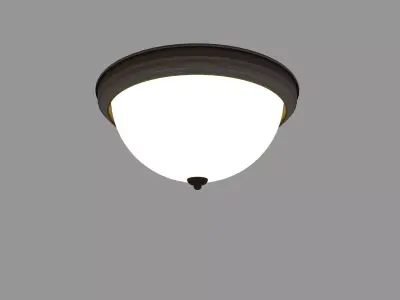 Flush Mount Lighting Fixtures 3D model