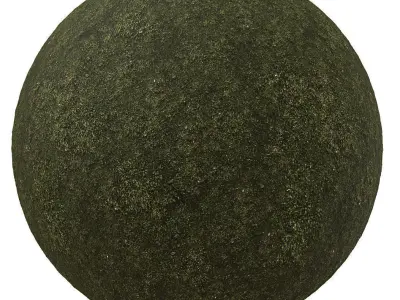 9 seamless moss texture 4096x4096 Texture