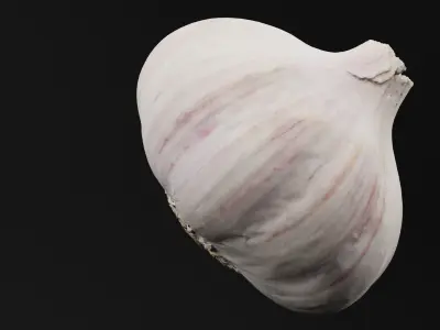 Garlic  3D model
