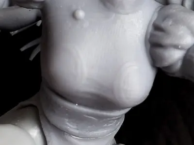 Chun Li Tested and Ready For Printing 3D print model