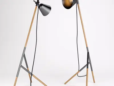 Insert Floor Lamp by Artisan  3D model