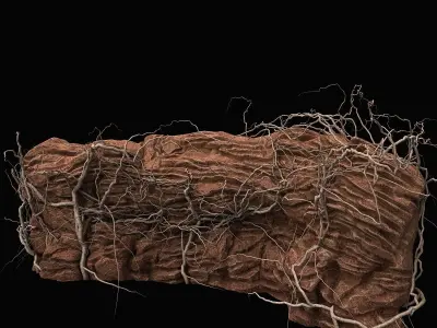 Desert cliff 3D model