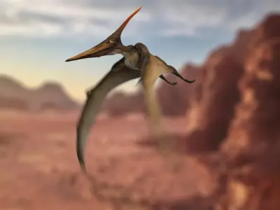  Pteranodon Longiceps Animated 