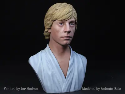 Mark Hamill as Luke Skywalker Bust Printable 3D Model 3D print model
