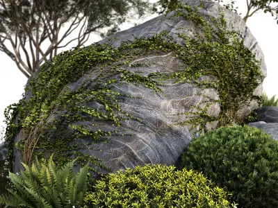 Rocks  Plants Combination 3D model