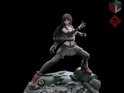 Tifa Lockhart 3D print model