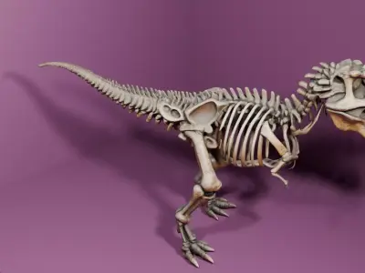 Esqueleto de tiranossauro rex Low-poly 3D model