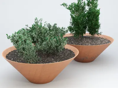 DAMAS plant in bowl 3D model