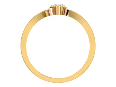Women Ring  Render 3dm STL OBJ FBX Details 3D print model 204