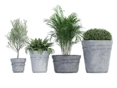 Reale planter 3D model