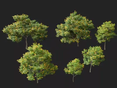 E5 Wind Plants - Bulnesia arborea - verawood Low-poly 3D model