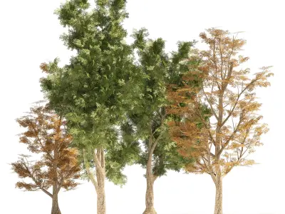 4 Summer and Fall Street london plane trees Low-poly 3D model