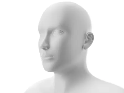  Rigged Human Hybrid Neutral Model 
