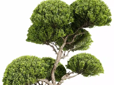 garden tree 3D model