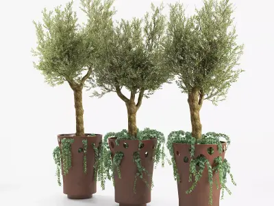 JARDINIERE GREEN PALACIO I  Olive Tree 3D model