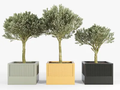 ICARIA Olea 3D model