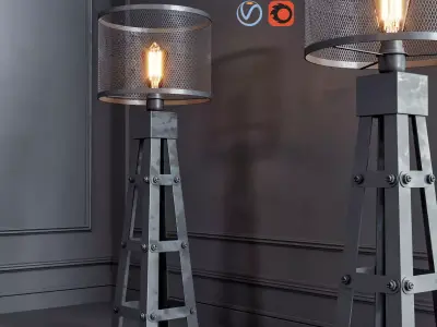 Radial Cage 3D model