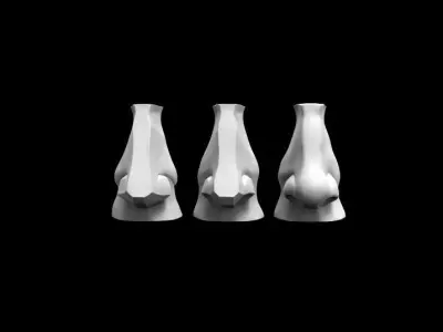 Planes of The Nose 3D model