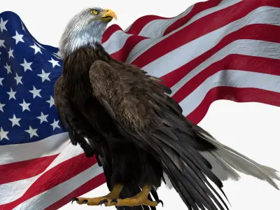  Bird Fur Collection 3D 