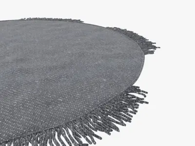 custom made round  modern carpet 3D model