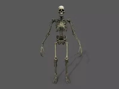 Monster Pack 7 Low-poly 3D model